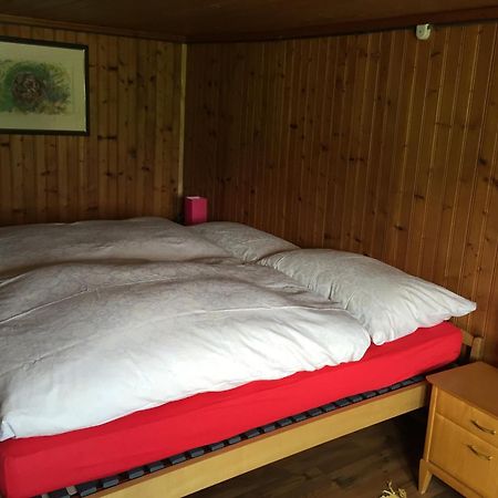 Bed and Breakfast Wohlfuehloase Fuer Mensch Und Hund Uzwil Esterno foto