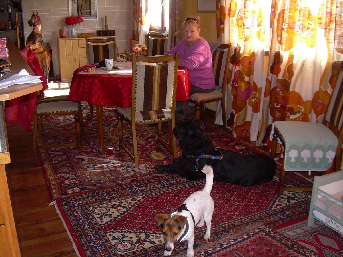 Bed and Breakfast Wohlfuehloase Fuer Mensch Und Hund Uzwil Esterno foto