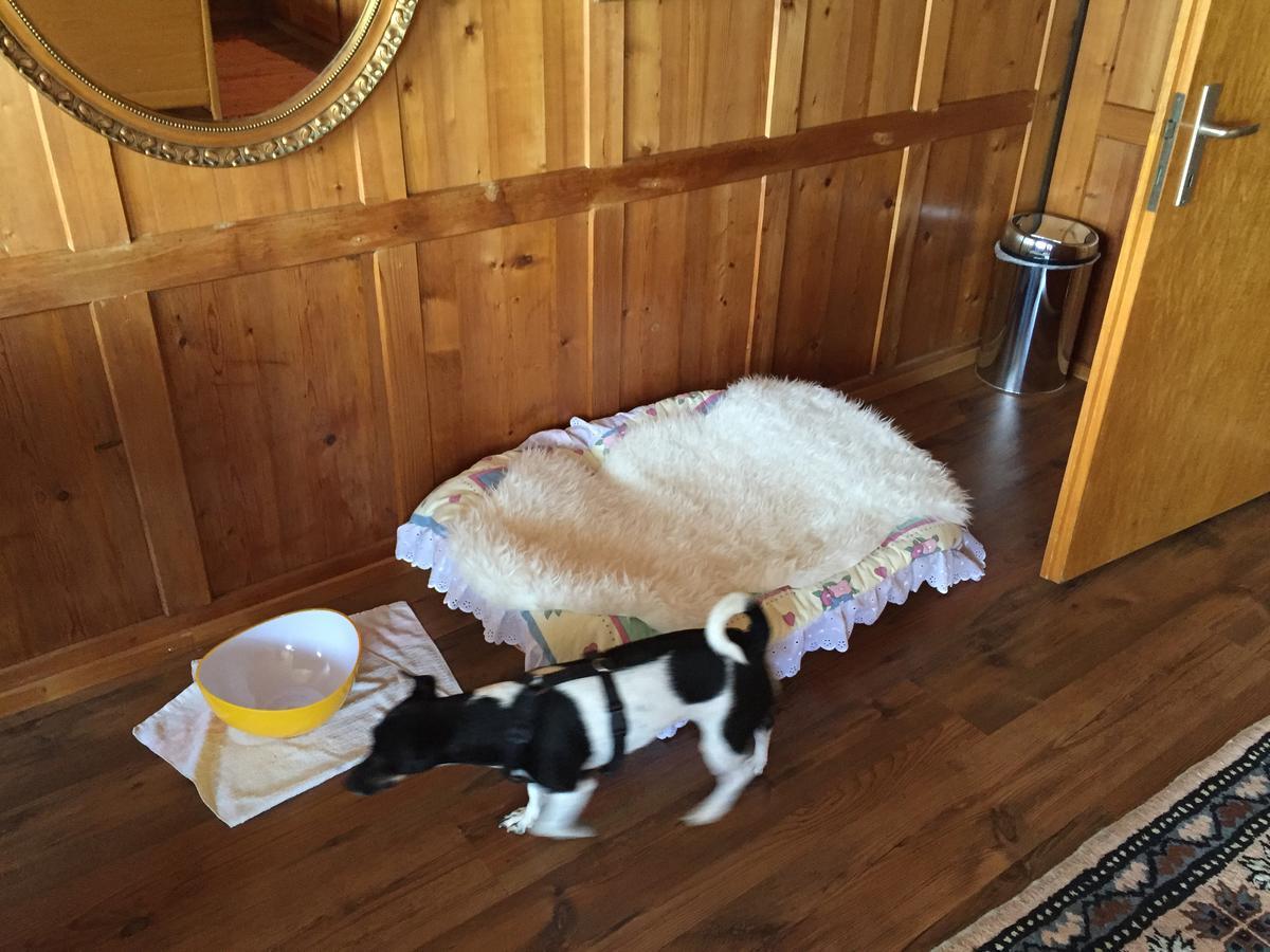 Bed and Breakfast Wohlfuehloase Fuer Mensch Und Hund Uzwil Esterno foto
