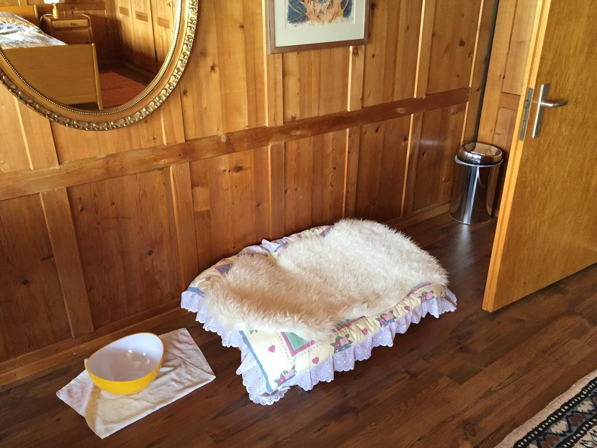 Bed and Breakfast Wohlfuehloase Fuer Mensch Und Hund Uzwil Esterno foto