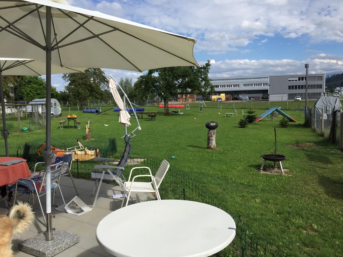 Bed and Breakfast Wohlfuehloase Fuer Mensch Und Hund Uzwil Esterno foto