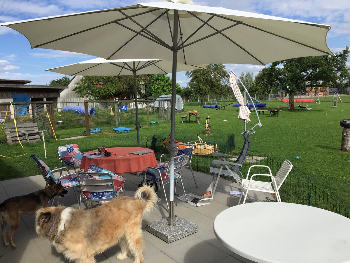 Bed and Breakfast Wohlfuehloase Fuer Mensch Und Hund Uzwil Esterno foto